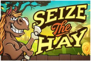 Seize-the-Hay-300×200